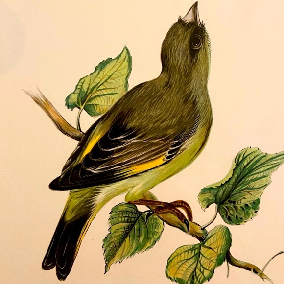 Vintage German Ceramic Sparrow Tile Art - Picture 4 of 4